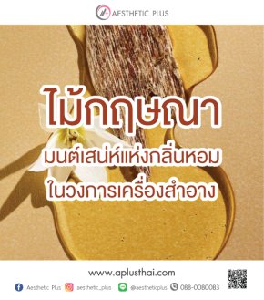 ไม้กฤษณา "มนต์เสน่ห์แห่งกลิ่นหอมในวงการเครื่องสำอาง"