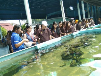 คณะมนุษย์ศาสตร์และสังคมศาสตร์ ม.บูรพา 