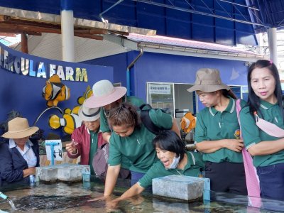 วิทยาลัยเกษตรและเทคโนโลยีลำพูน