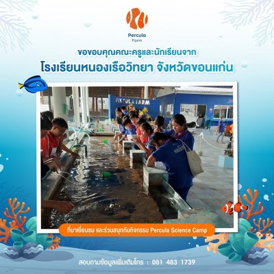 โรงเรียนหนองเรือวิทยา จังหวัดของแก่น