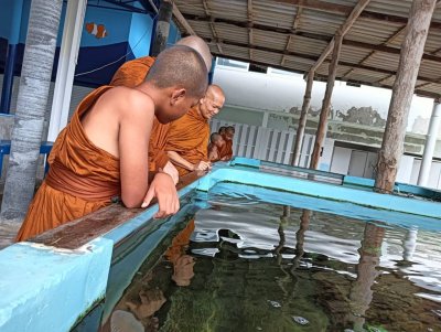 คณะพระภิกษุและสามเณร วัดโพธิญาณรังสี 