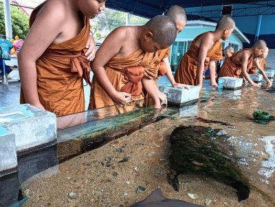 คณะพระภิกษุและสามเณร วัดโพธิญาณรังสี 