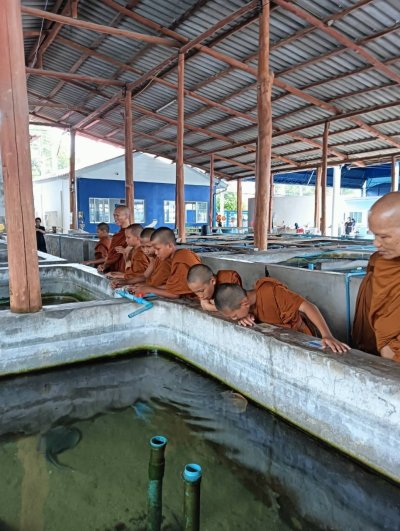 คณะพระภิกษุและสามเณร วัดโพธิญาณรังสี 