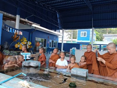 คณะพระภิกษุและสามเณร วัดโพธิญาณรังสี 