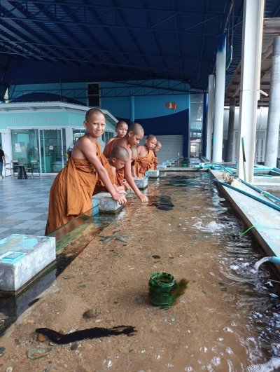 คณะพระภิกษุและสามเณร วัดโพธิญาณรังสี 