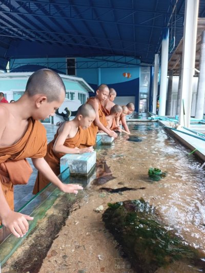 คณะพระภิกษุและสามเณร วัดโพธิญาณรังสี 