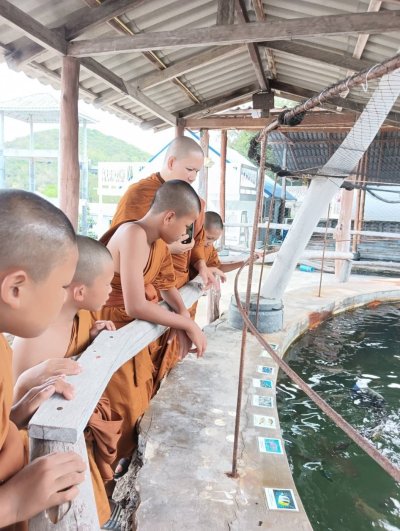 คณะพระภิกษุและสามเณร วัดโพธิญาณรังสี 