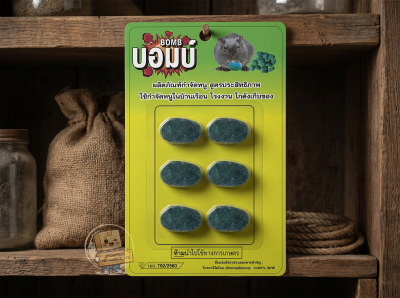 ป้ายบลิสเตอร์-ป้ายแขวนเจาะรู-ซอง CD