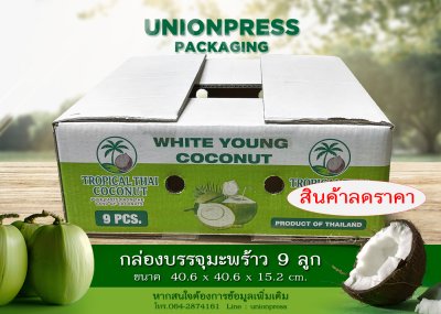 กล่องมะพร้าว 9 ลูก