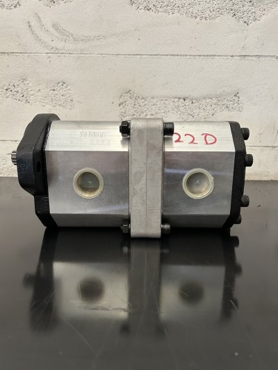 double gear pump