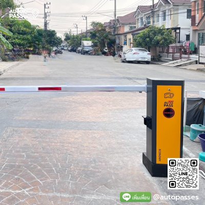 บ้านพฤกษา 46