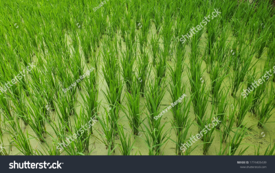 Photoinmobile Photoinmobile