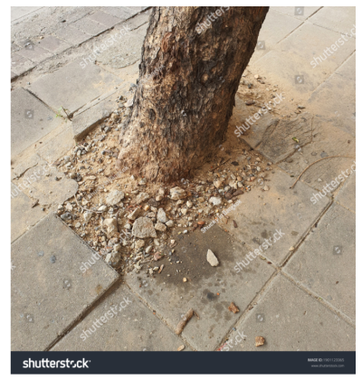 Photoinmobile Photoinmobile