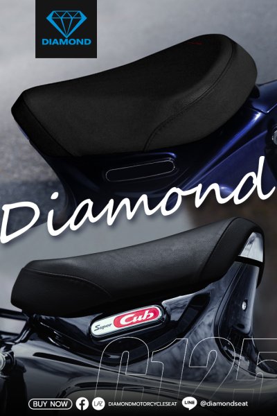 DIAMOND SEAT ALBUM