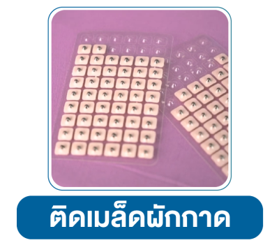 รูปแบบการรักษา อายุรกรรมมะเร็ง 2