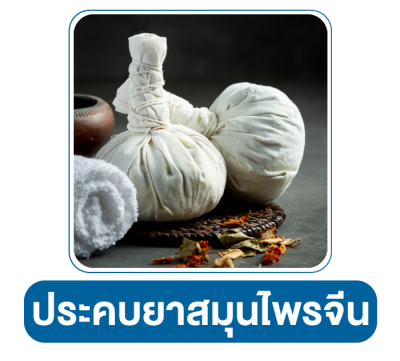 รูปแบบการรักษา อายุรกรรมมะเร็ง 2