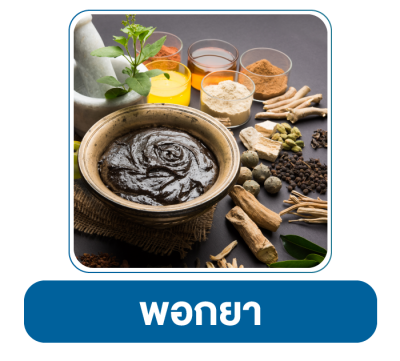 รูปแบบการรักษา อายุรกรรมมะเร็ง