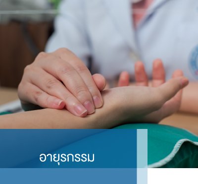 ทั้งหมดแผนก