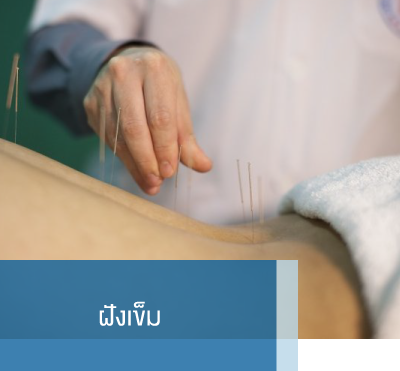 ทั้งหมดแผนก