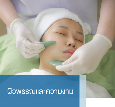 ทั้งหมดแผนก