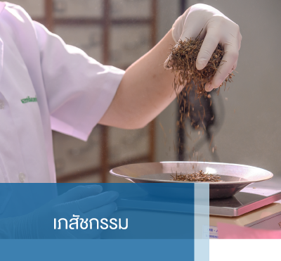 ทั้งหมดแผนก