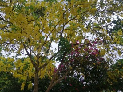 รูปภาพรีสอร์ท