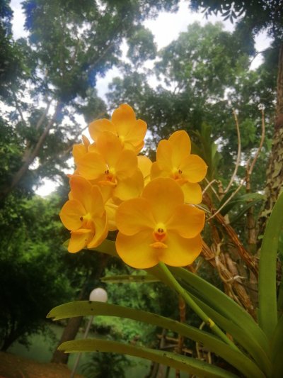 รูปภาพรีสอร์ท