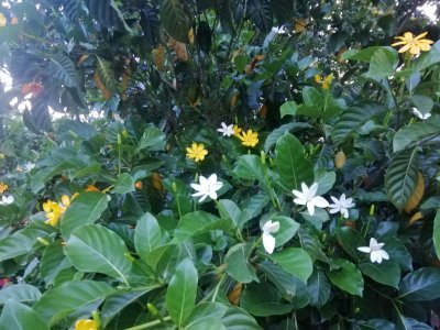 รูปภาพรีสอร์ท