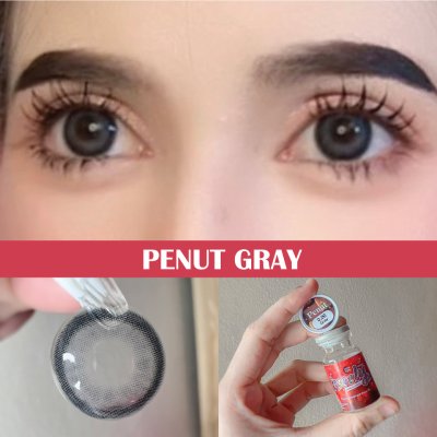 Penut Gray