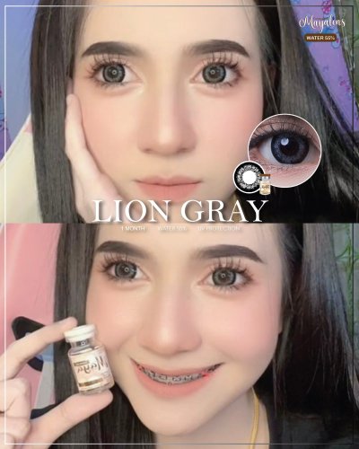 Lion Gray