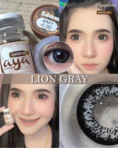 Lion Gray