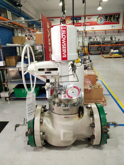 FMC had inspection test Flowserve Control valve 12inch at Flowserve Singapore factory