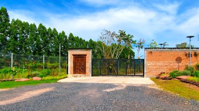 Door Reviews Album 2