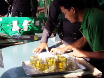 Together with the Bang Pu police station to check the urine for drugs (according to the white factory project)