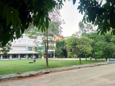 วิทยาลัยนาฎศิลป ศาลายา งานปรับพื้นที่และปูหญ้า
