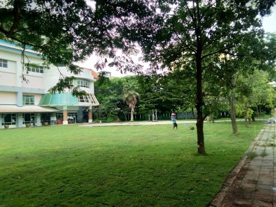 วิทยาลัยนาฎศิลป ศาลายา งานปรับพื้นที่และปูหญ้า
