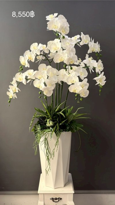 3850฿ขึ้นไป