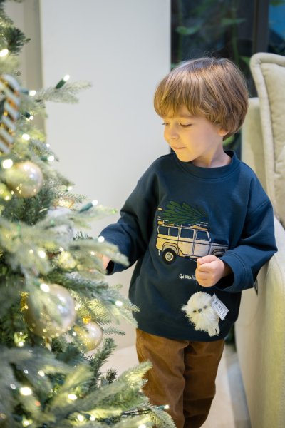 Truck & Tree Sweater