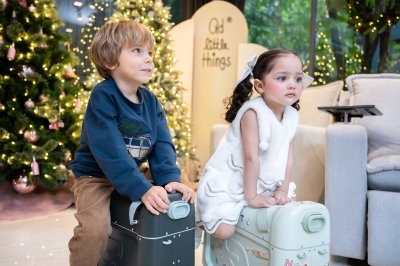 Truck & Tree Sweater