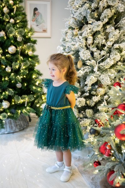 Qd Emerald Green Dress (available in some sizes) 2,690.-