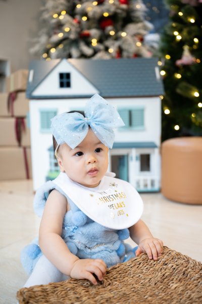 Personalized Christmas Bib