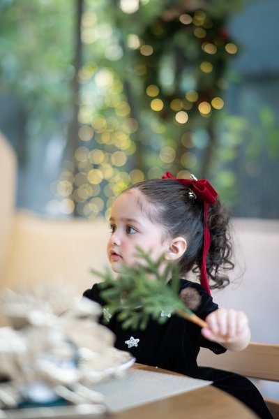 Qd Bow : Velvet Charming Red Christmas Hair Clip