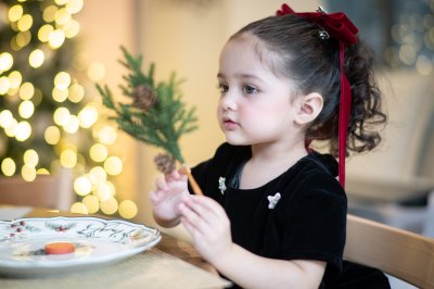 Qd Bow : Velvet Charming Red Christmas Hair Clip