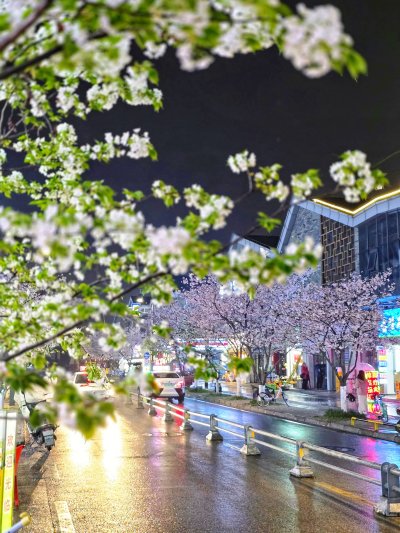 เมืองตูเจียงเยี่ยน ประเทศจีน