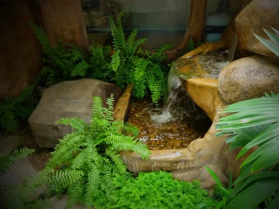 Tranquil waterfall feature enhancing the relaxing atmosphere at Srimantra Spa Chiang Mai
