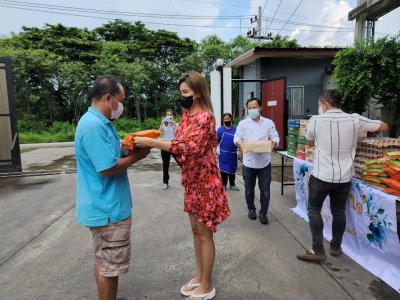 ทางด้านพัฒนาสังคมและวัฒนธรรม