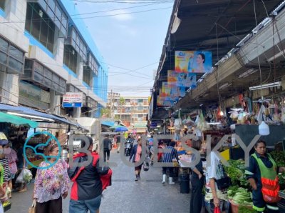 Hanging Banner แป้งเย็นตรางู