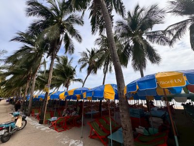 Umbrella Media-Biore UV Extreme