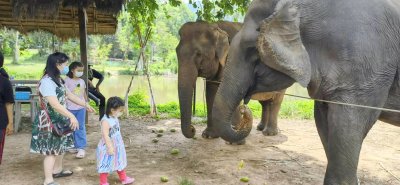 ศูนย์การเรียนรู้ช้าง(พิษณุโลก)