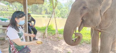 ศูนย์การเรียนรู้ช้าง(พิษณุโลก)